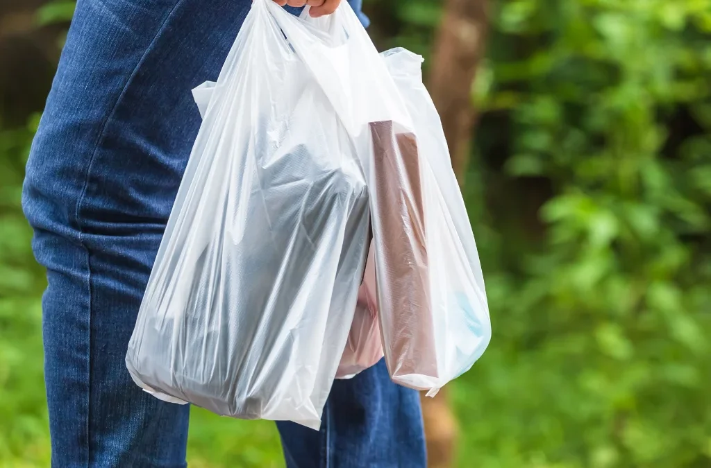 El Proceso Detrás de las Bolsas Compostables