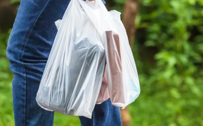 El Proceso Detrás de las Bolsas Compostables