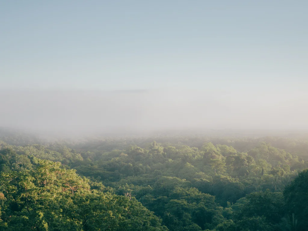 Una toma amplia de un área verde con una nube gris arriba simbolizando la contaminación ambiental.